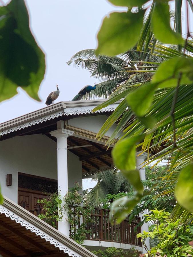 Neli Guests House Hotel Unawatuna Exterior photo
